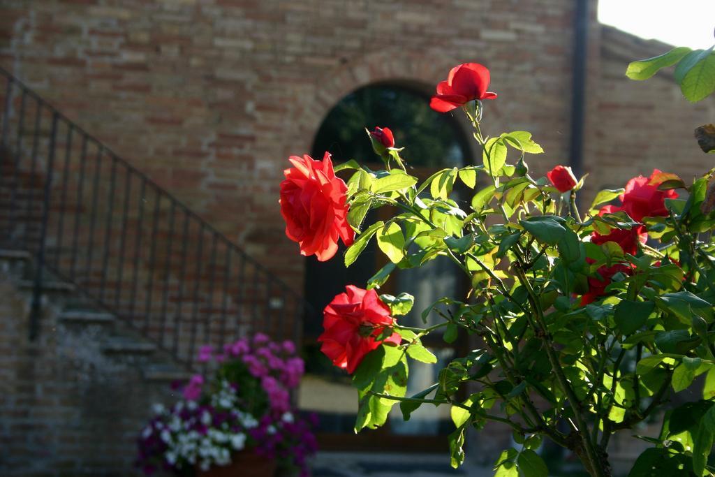 Fattoria Armena Villa Buonconvento Eksteriør bilde