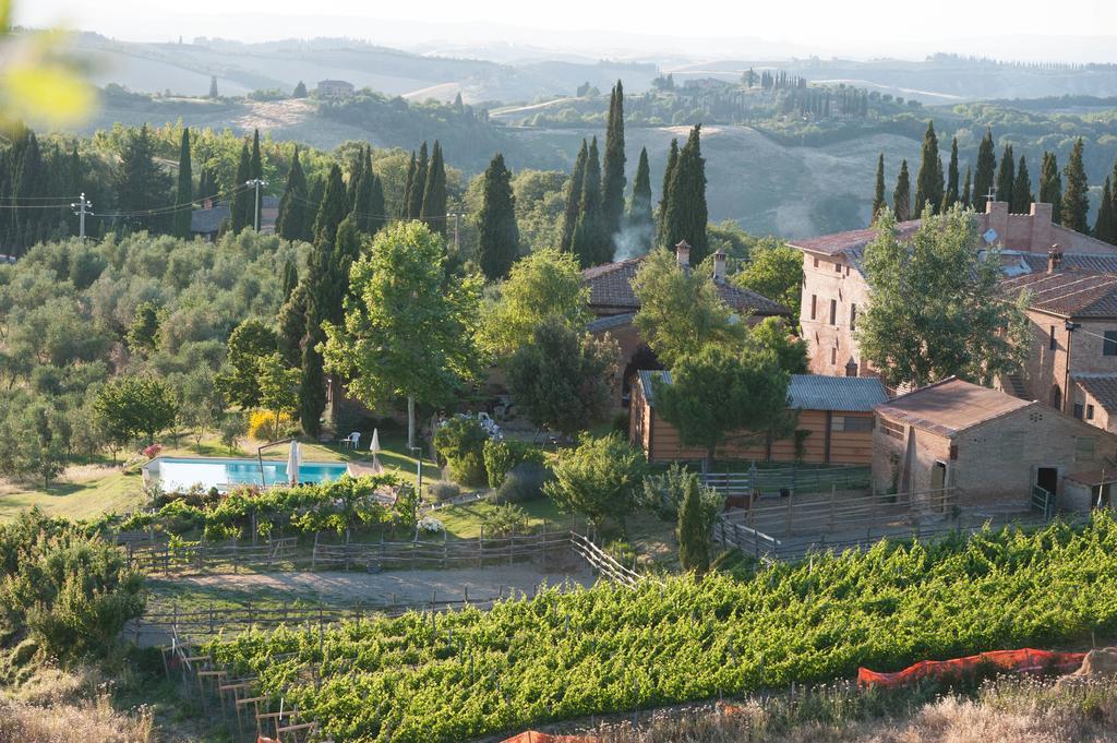 Fattoria Armena Villa Buonconvento Eksteriør bilde